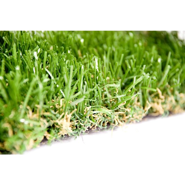 Gazon synthétique de fétuque Spring Premium de Green as Grass, 10 pi x 7,5 pi