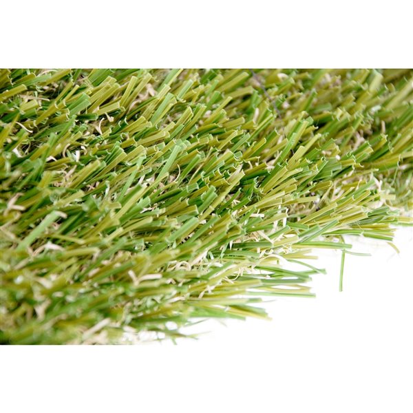 Gazon synthétique Fescue Pro de Green as Grass, 10 pi x 5 pi