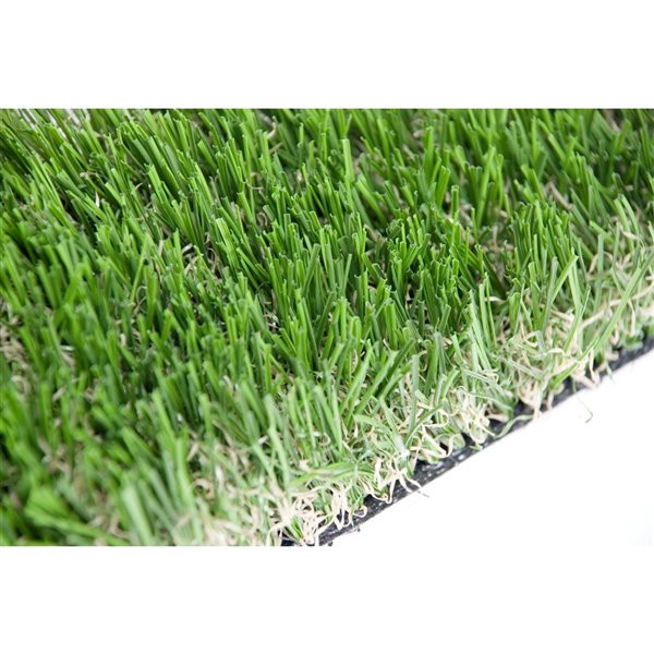 Gazon synthétique de fétuque Pet de Green as Grass, 25 pi x 7,5 pi
