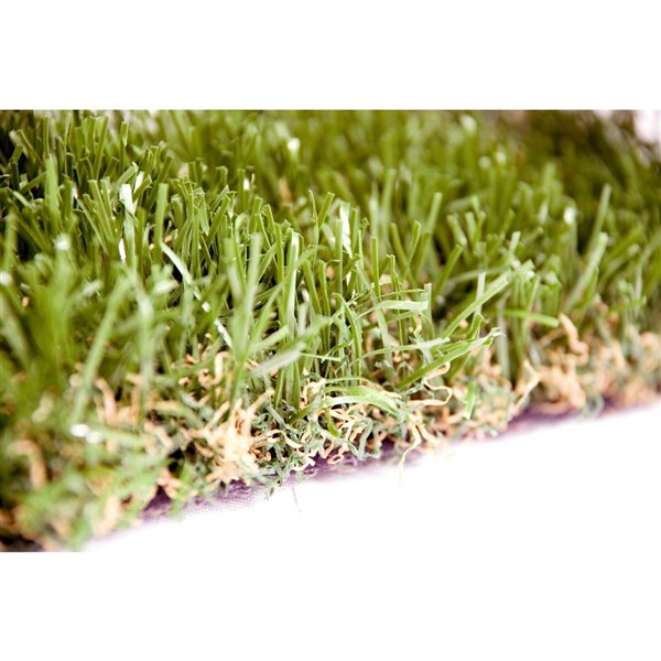 Échantillon de gazon synthétique Fescue Premium de Green as Grass, 1 pi x 1 pi