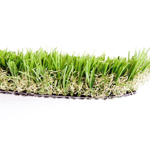 Green as Grass Pro Fescue Artificial Grass, 8ft x 3ft 47911 RénoDépôt