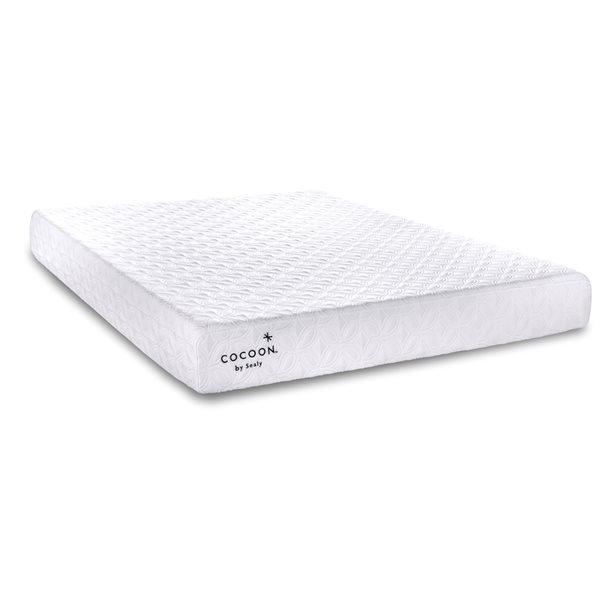 cocoon plush mattress