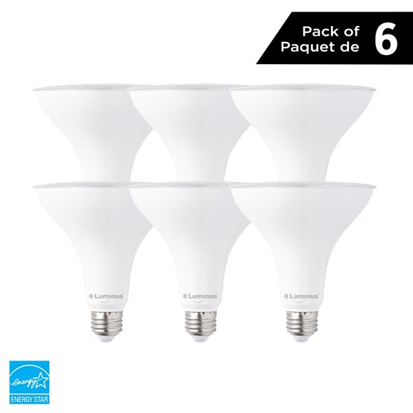 Ampoule à DEL PAR 38 faisceau étroit 120W réglable 3000K blanc brillant par  Luminus, paquet de 6 PLYC4533-CS