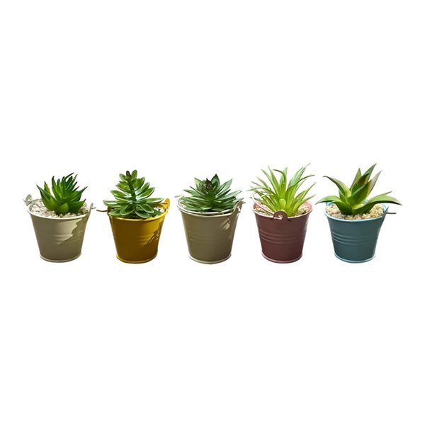 Plantes succulentes artificielles IH Casa Decor couleurs assorties de 3,5  po, ensemble de 3 | Réno-Dépôt