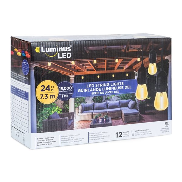 Guirlande de lumières ST19 Feit Electric à 15 ampoules, 30 pi