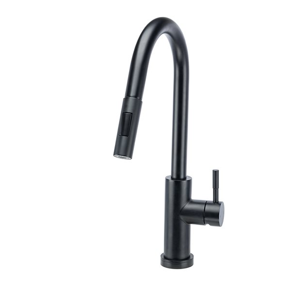 Westmount Waterworks Essie Matte Black 1 Handle Deck Mount Pull