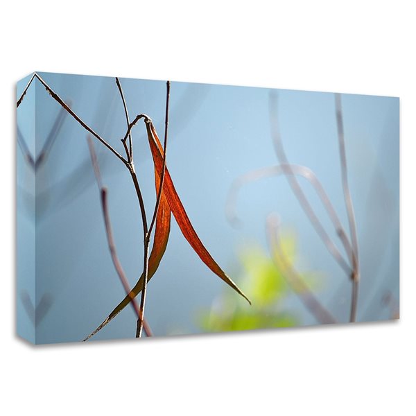 Tangletown Fine Art "Red and Green by the River" by Ulpi Gonzalez Frameless 14-in H x 21-in W Canvas Print