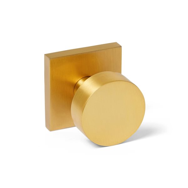 Explore Hardware Champagne Satin Brass Gold Door Lever & Reviews