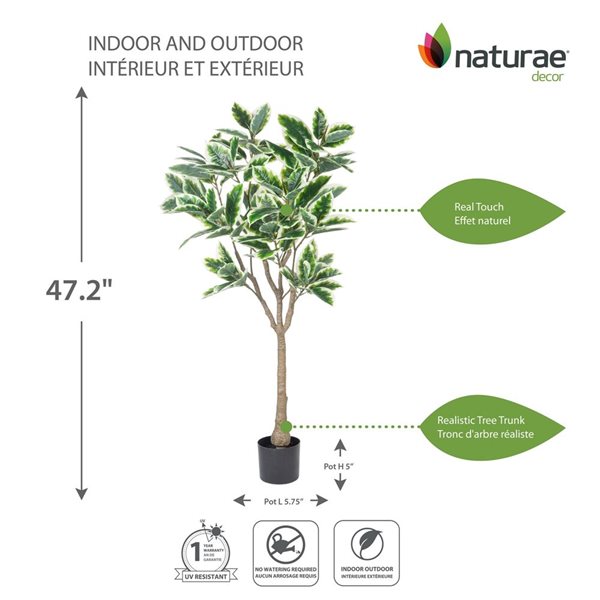 naturae decor 47-in H Indoor/Outdoor Artificial Variegated Ficus Tree ...